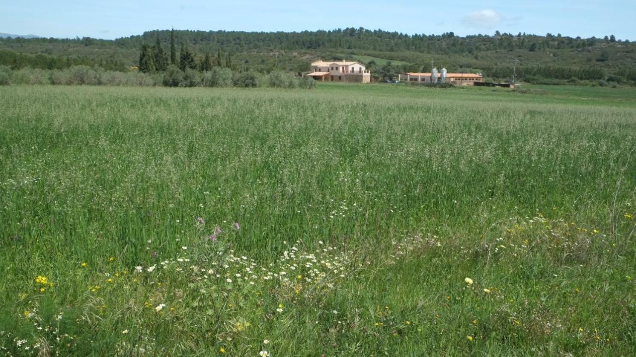 La Masia De Montpedros Пералада Екстериор снимка
